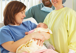 Phtalates, b�b�s, loi